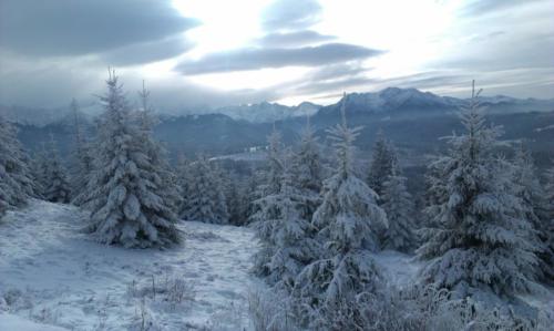 Zima To Tu Tatrzańska 21 Czarna Góra