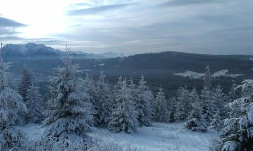 Zima To Tu Tatrzańska 21 Czarna Góra