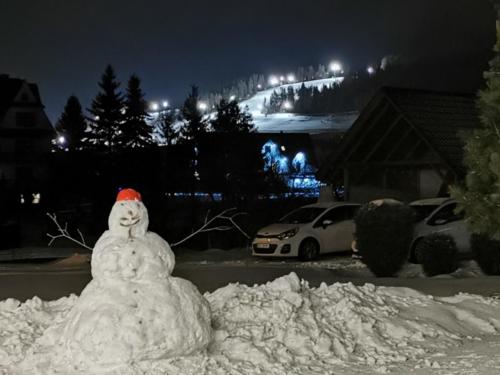 Bałwan na tle Kozińca