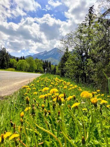 P_20230601_120927-EFFECTS