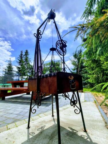 P_20230707_132724-EFFECTS