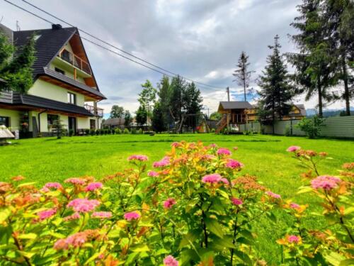 P_20230804_112507-EFFECTS